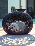Pet Nest